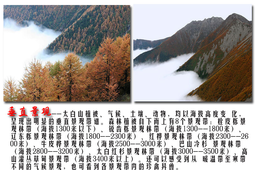 太白山滑雪场