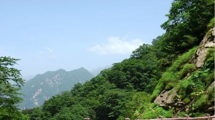 太平森林公园5.jpg