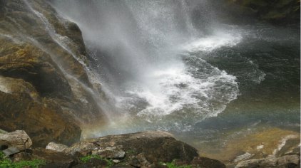 太平森林公园1.jpg
