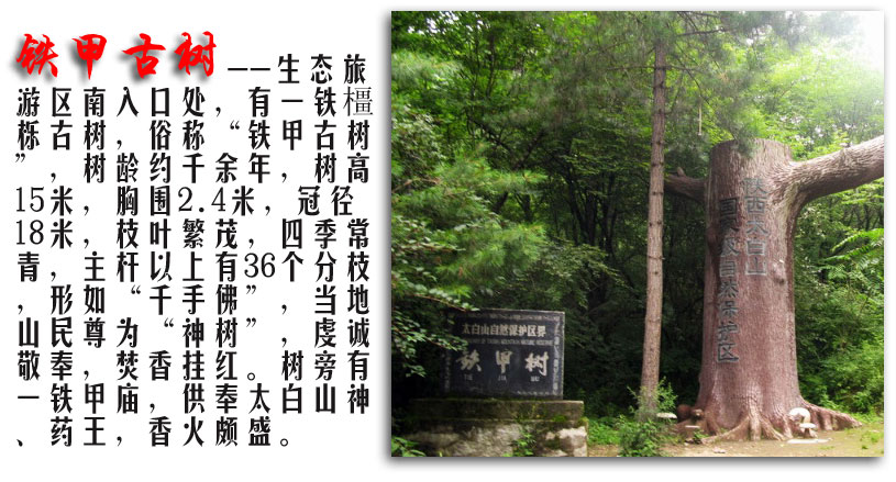 太白山滑雪场