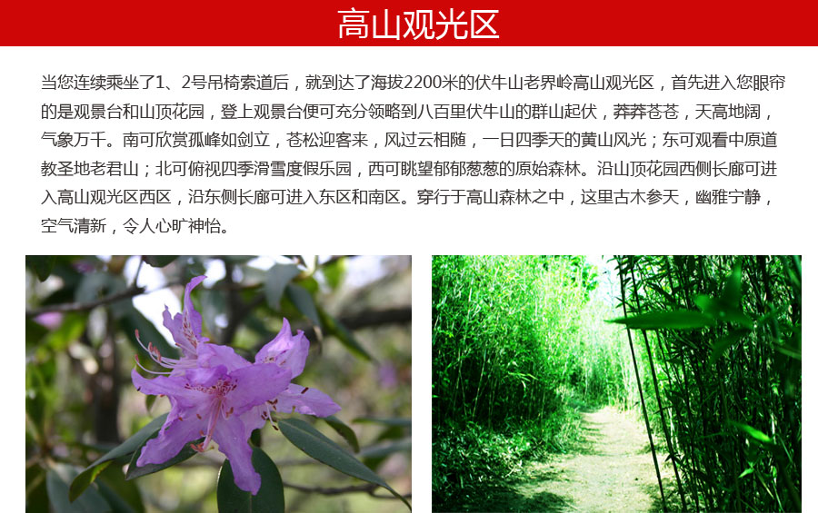 伏牛山滑雪场