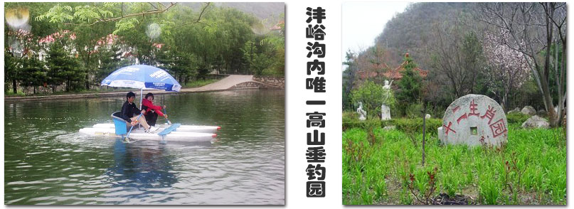 大坝沟沣峪庄园滑雪场