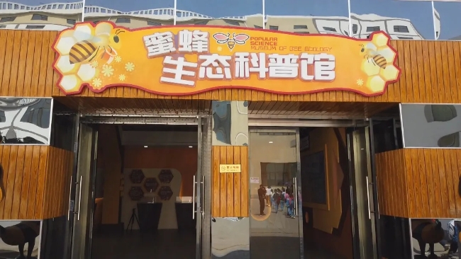 蜜蜂生态科普馆