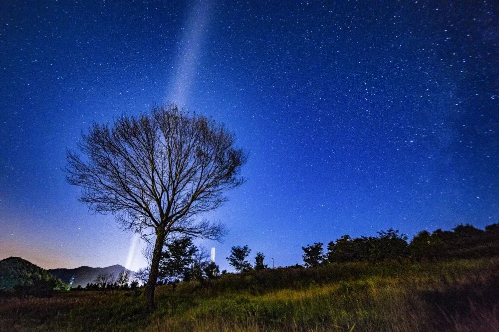 照金星空房车度假营地