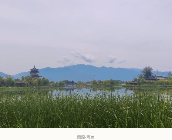 大部分免费！西安这些小众有趣打卡地等你来！