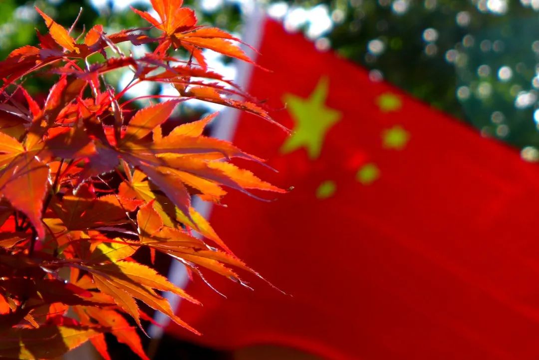 十月小长假丨朱雀打翻了秋天的调色盘