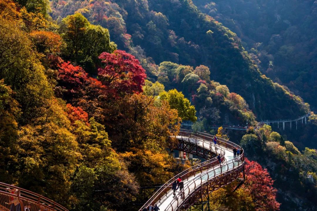 陕西红叶仙境！国庆假期必打卡的最美秋景！