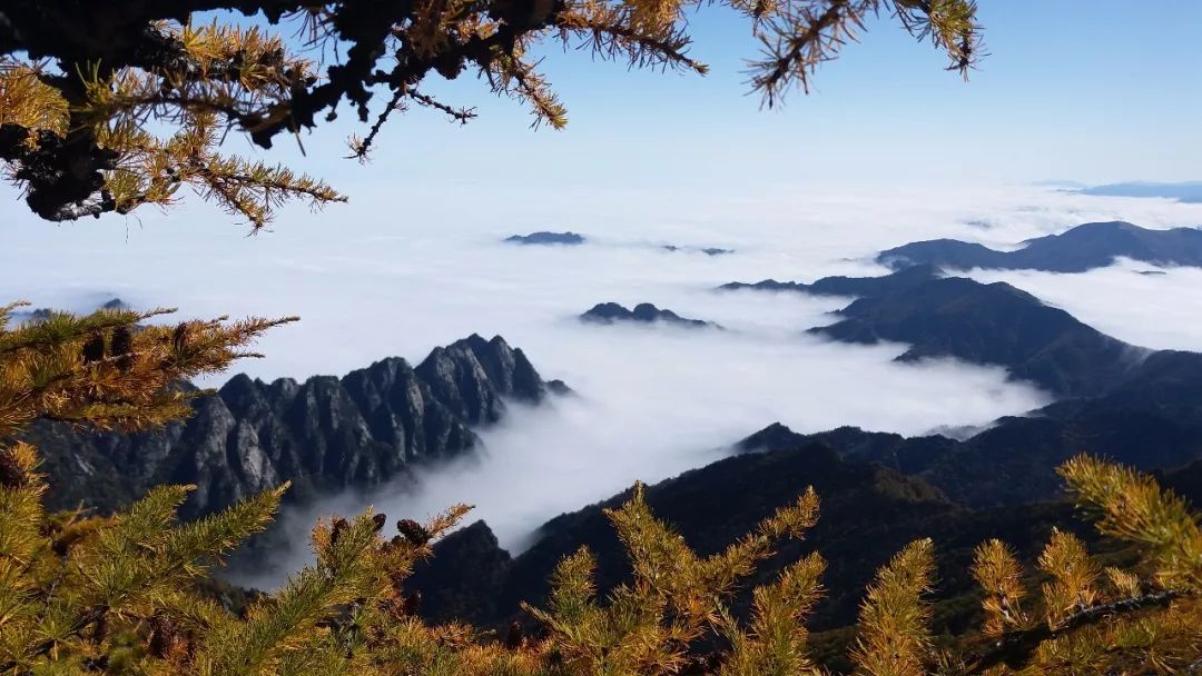 秋风润美景，最炫太白山