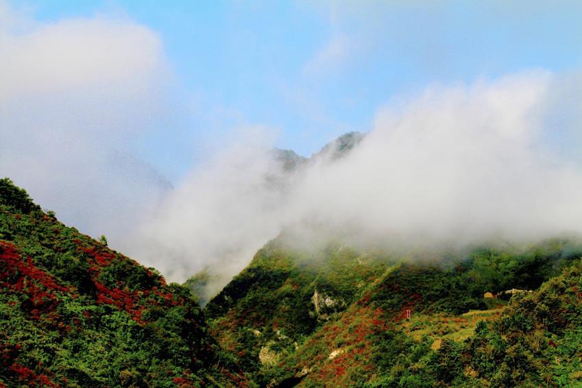 镇安塔云山