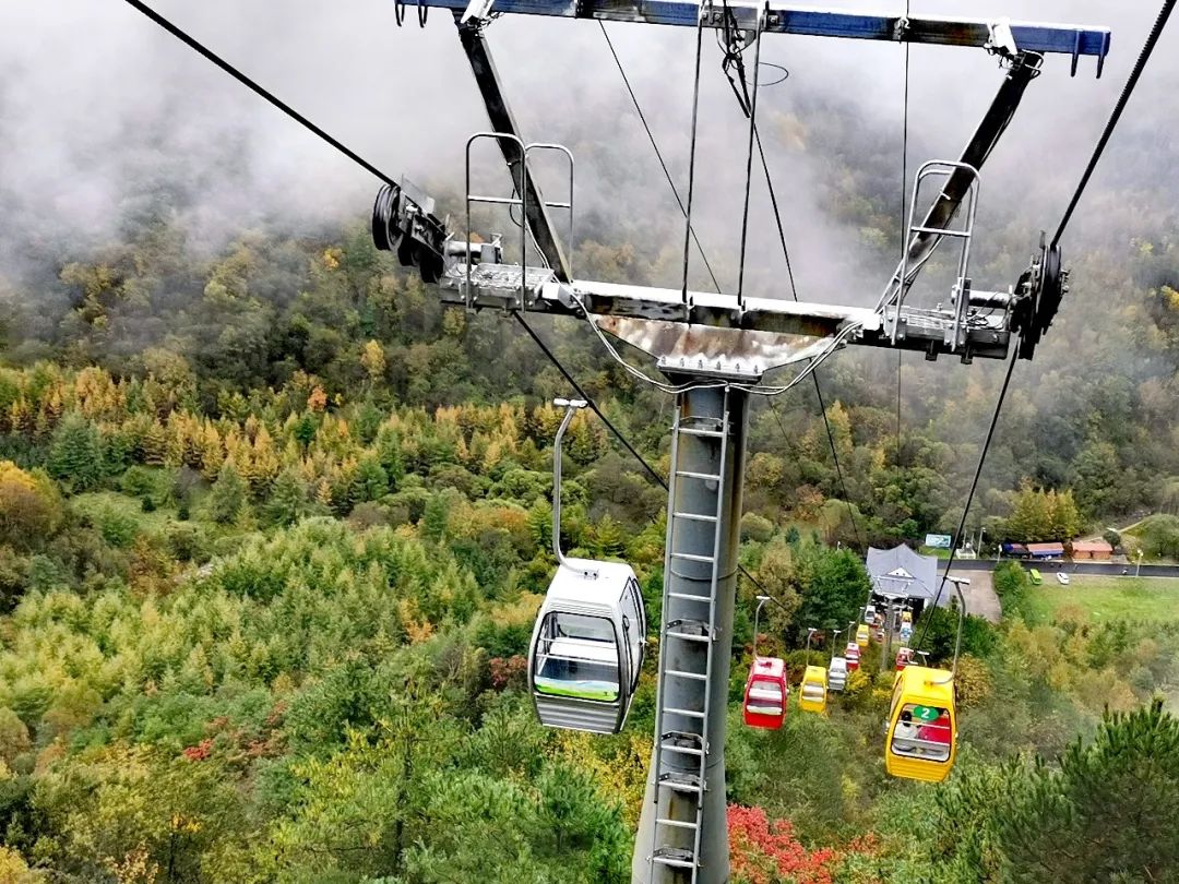 假日出游｜向山出发，与自然再重逢！