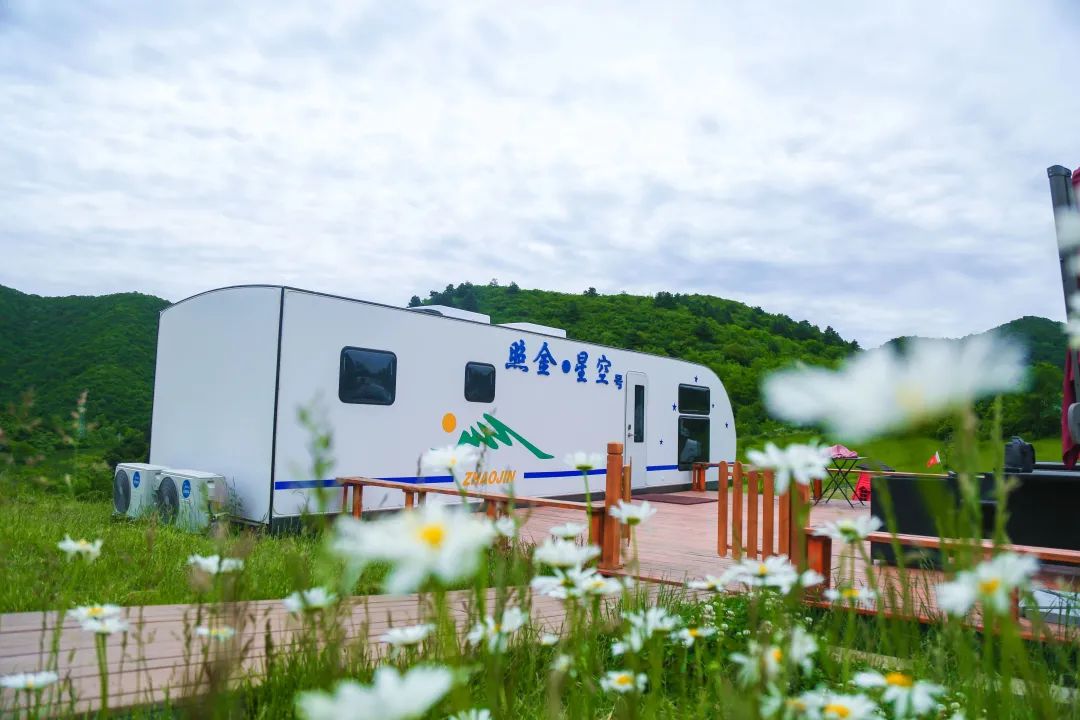 初夏到照金，沉醉在暖阳清风与山林花海间