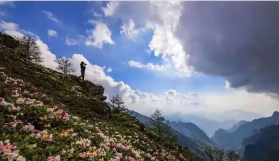 2023.5.19中国旅游日，门票半价逛太白山高山杜鹃花市啦!