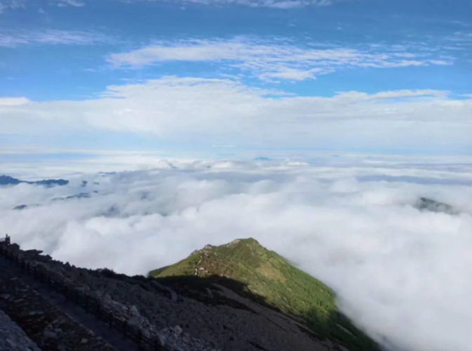 花海与云海同框 太白山美景直击心海