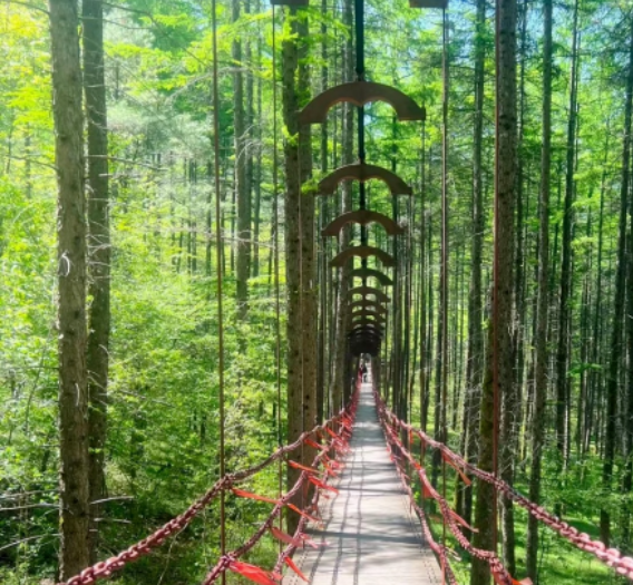 请收藏！赏美景＋吃美食+住民宿，满园春色关不住，留坝初夏美景接连看！