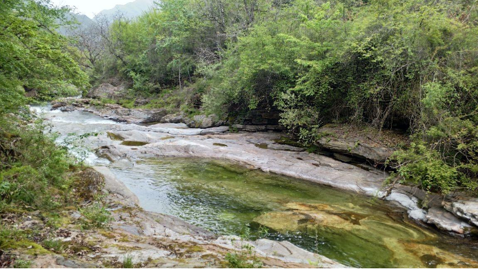 2023黄柏塬原生态风景区旅游攻略