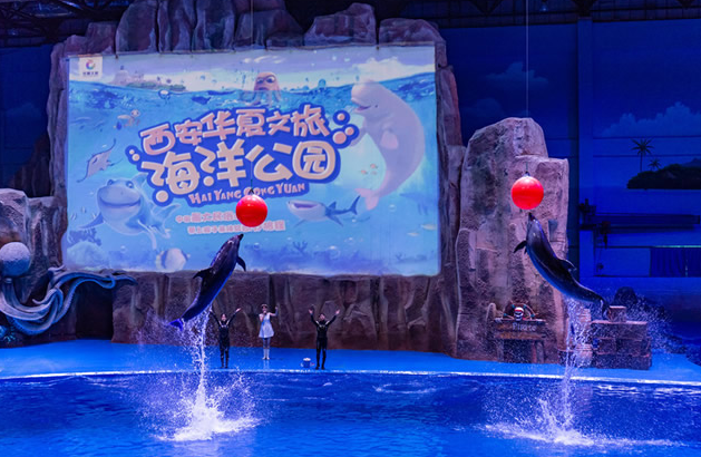 2023西安海洋馆有哪些？西安海洋公园名单大全，西安著名的海洋馆推荐~