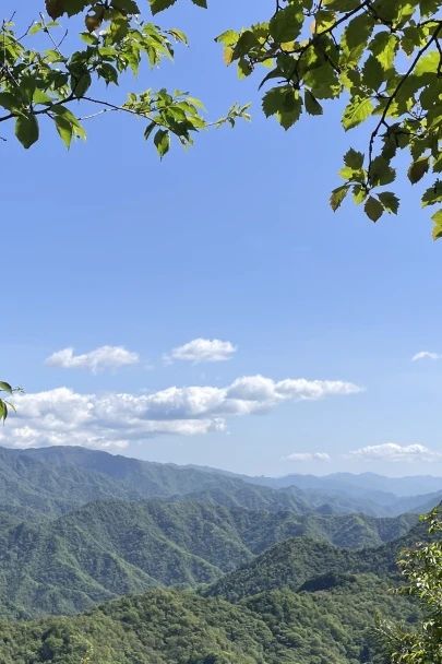 以爱之名 共赴山海丨一起来留坝紫柏山为爱打卡