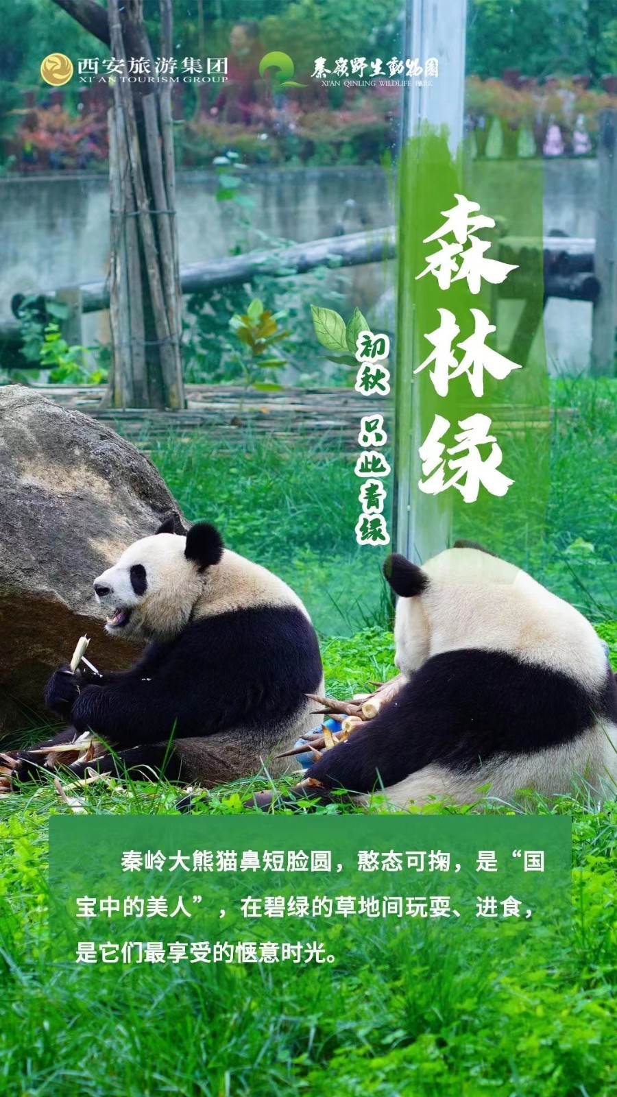 西安秦岭野生动物园游玩攻略（营业时间+门票价格+交通路线）