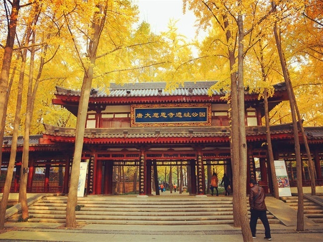 西安免费赏秋好去处│打卡秋天限定色
