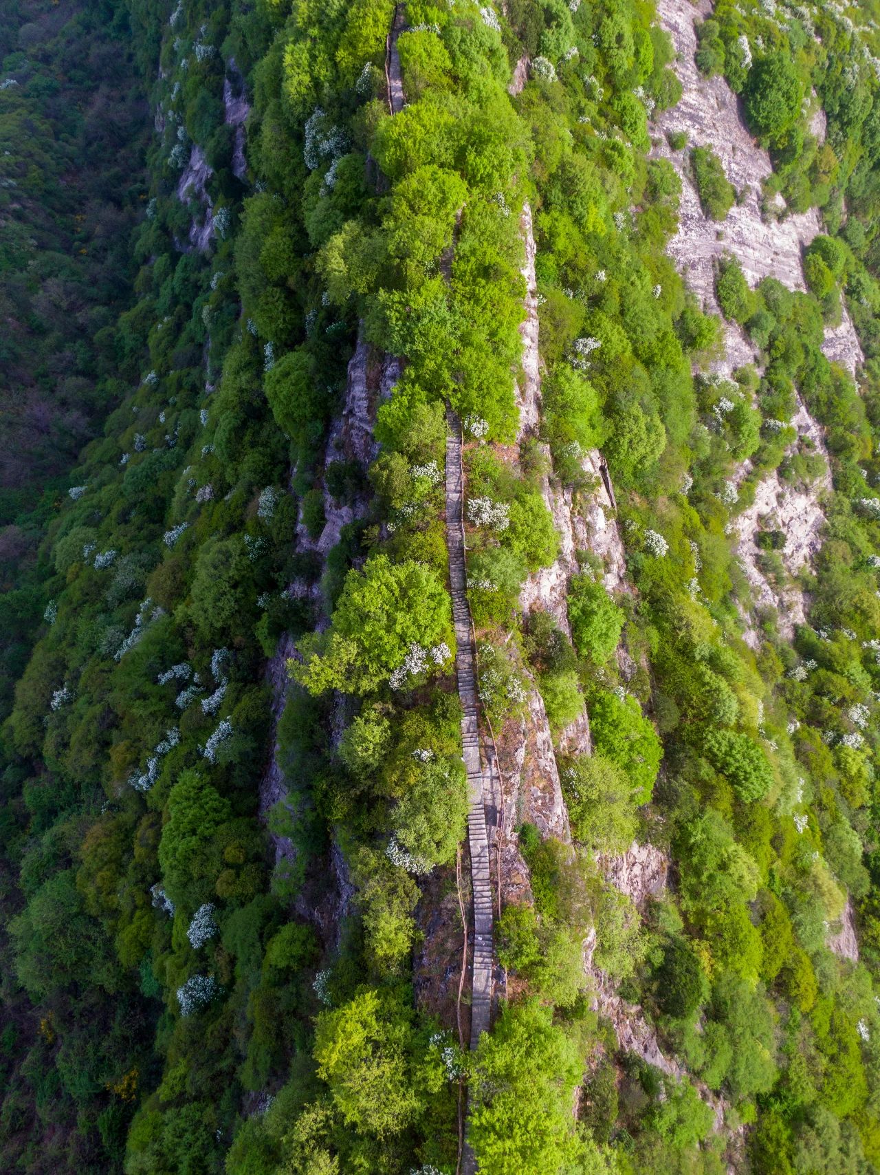 翠华山这里奇险幽秀，春和景明
