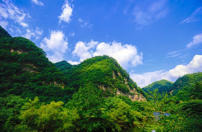 清凉度爆表，黎坪景区夏日有“凉”方！