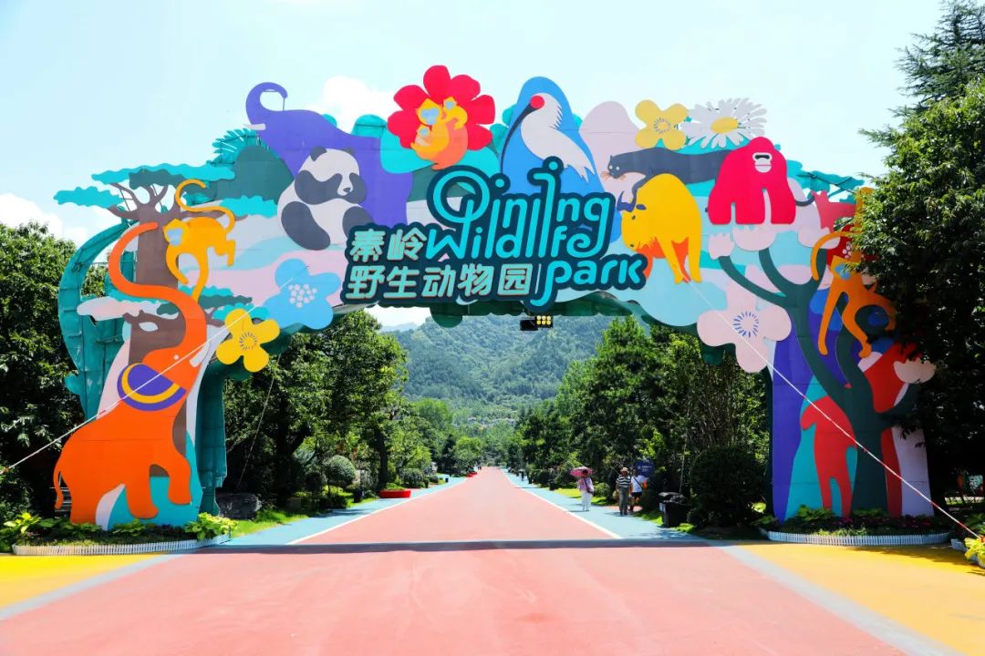 2024秦岭野生动物园“毕业旅行”动物王国之旅