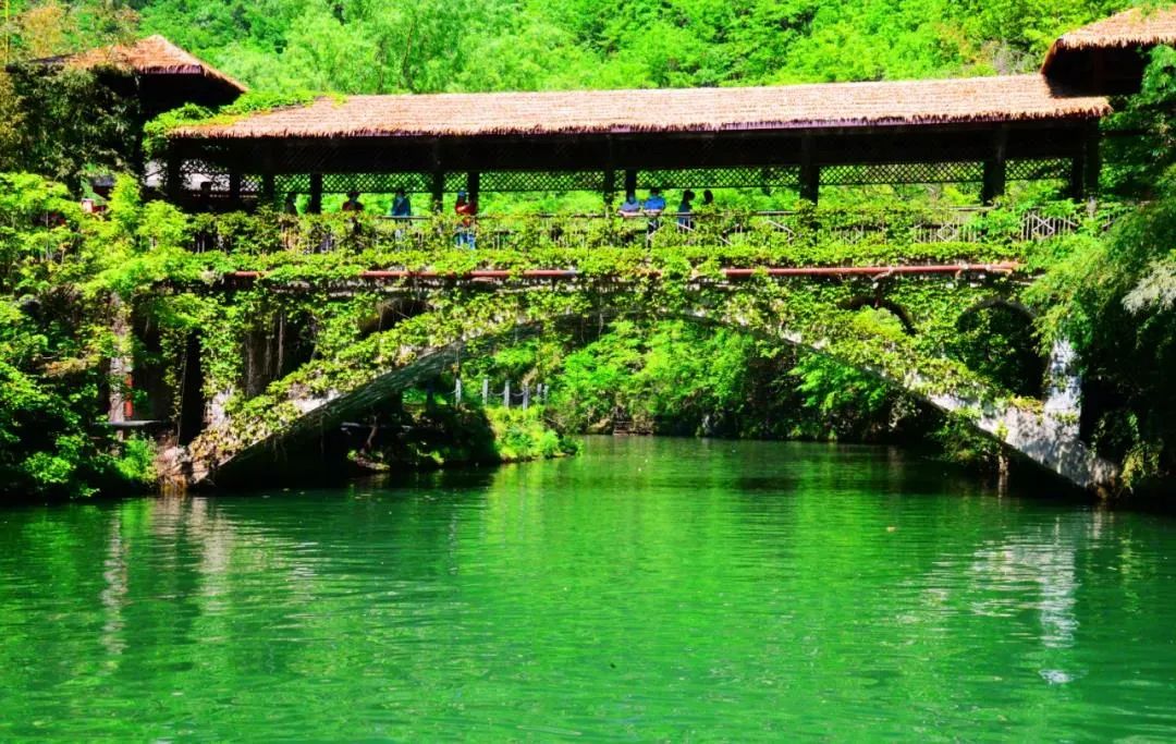 毕业季·旅行季——避暑畅游金丝峡