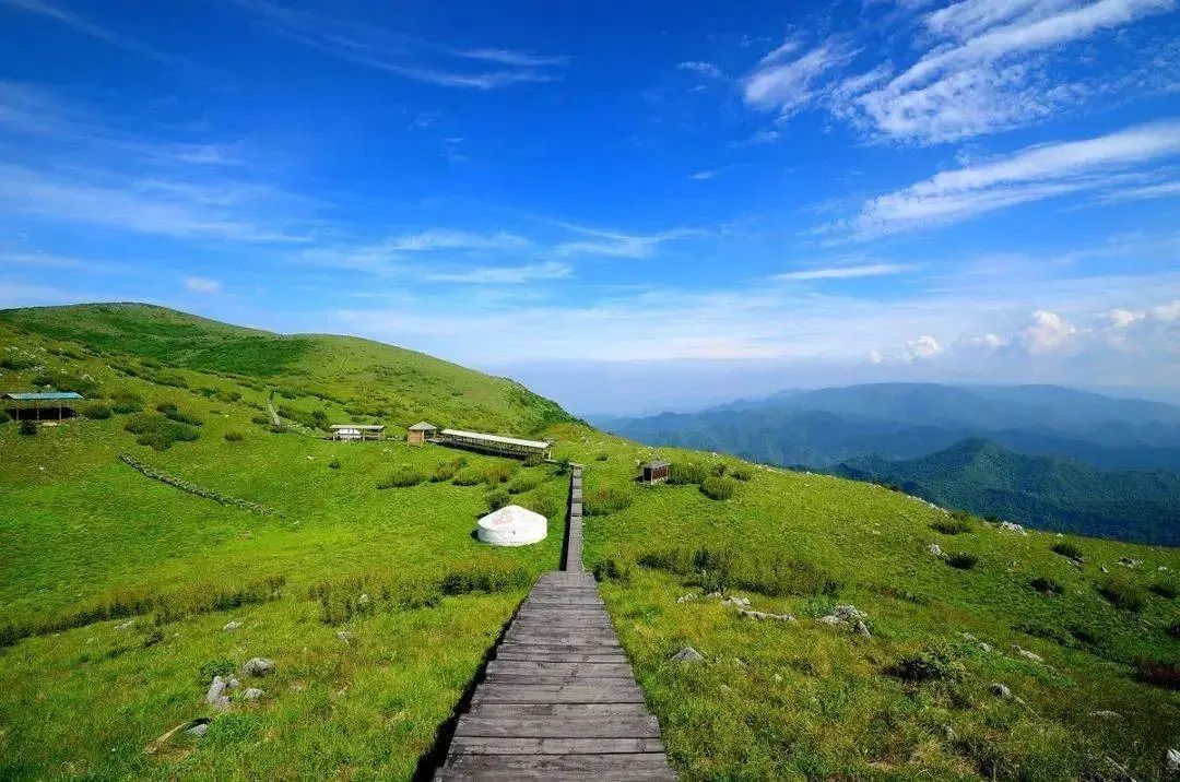 高山草甸、浩瀚云海……周末来紫柏山，感受极致的夏日浪漫！