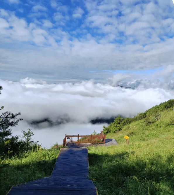 在这炎炎夏日，快来 22℃的紫柏山 感受那独一无二的清凉吧！