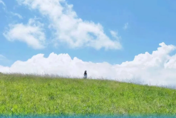抓住夏天的尾巴 | 来紫柏山森林公园