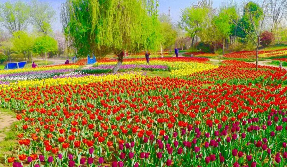 西安植物园