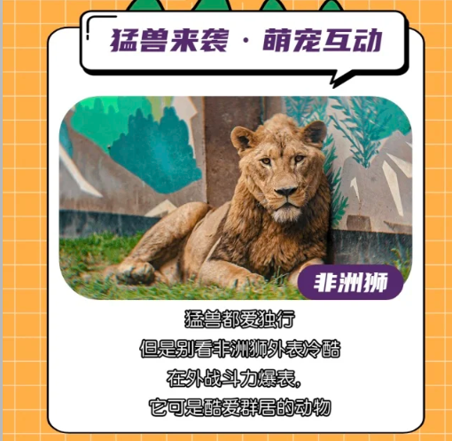 国庆遛娃│乐华城·欢乐动物城