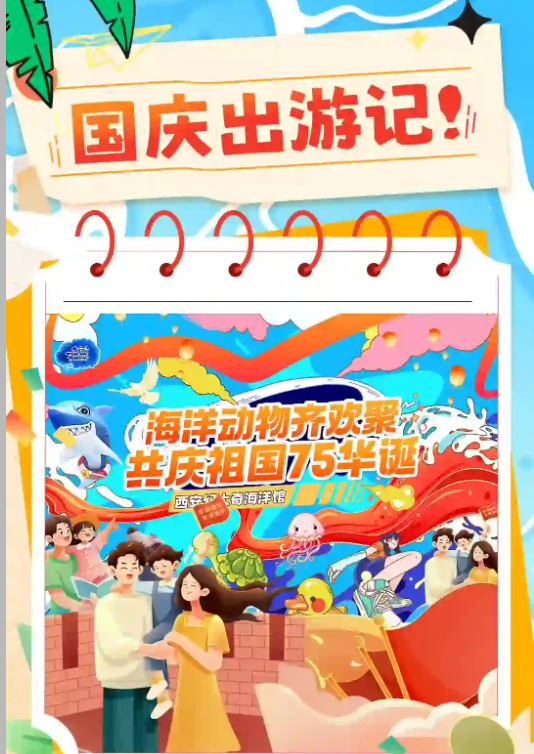 国庆出游记│海洋动物齐欢聚