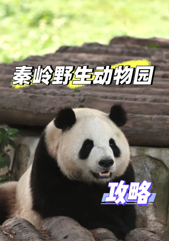 西安秦岭野生动物园国庆假期超强攻略！