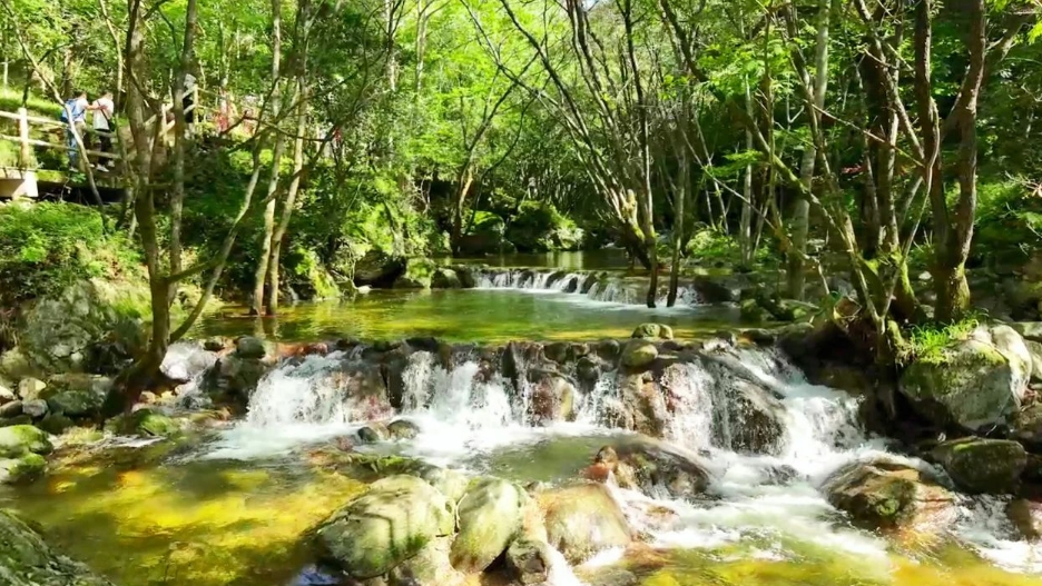牛背梁景区错峰出游正当时！附游玩攻略~