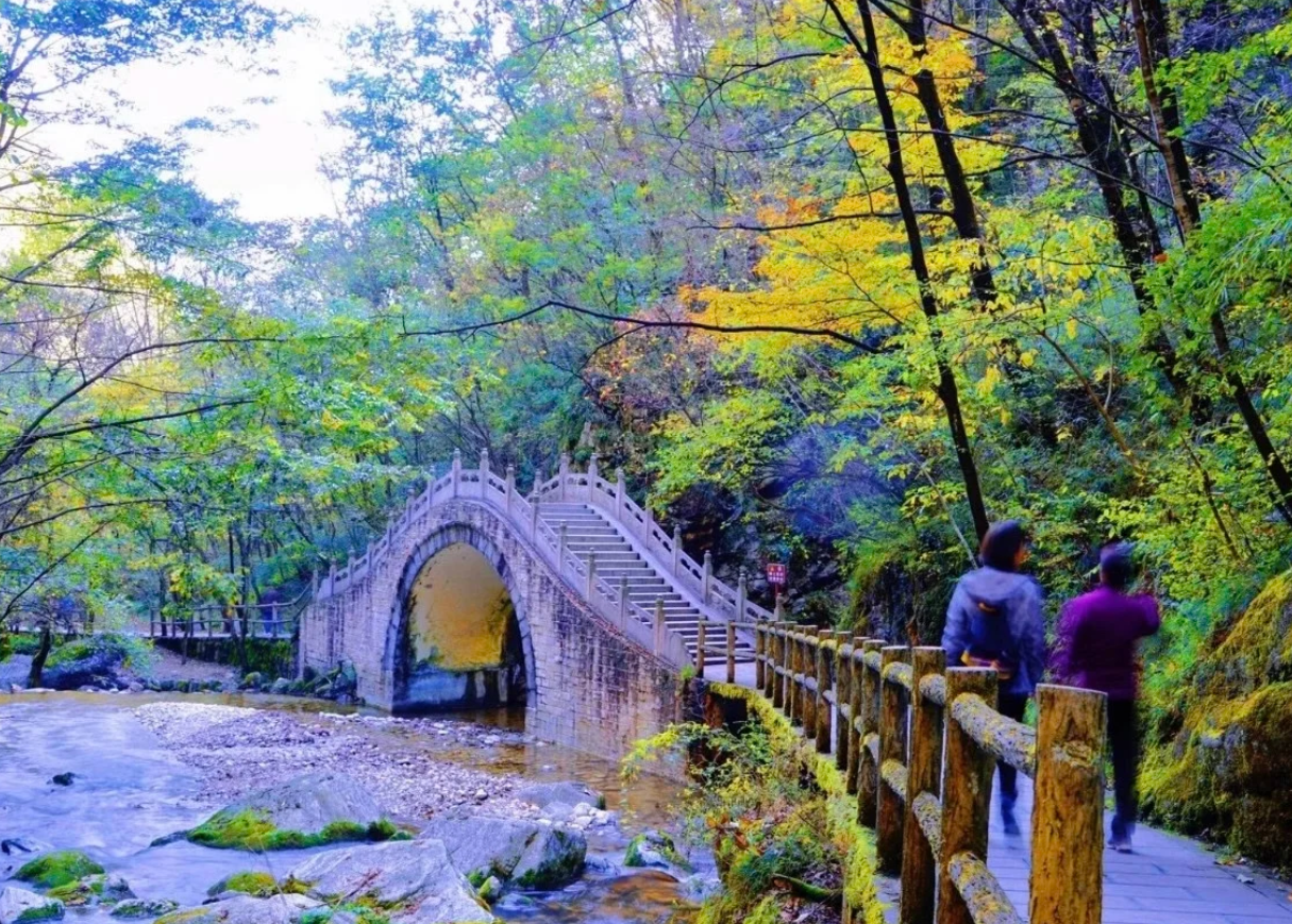 ⛰️牛背梁森林公园家门口的打卡圣地