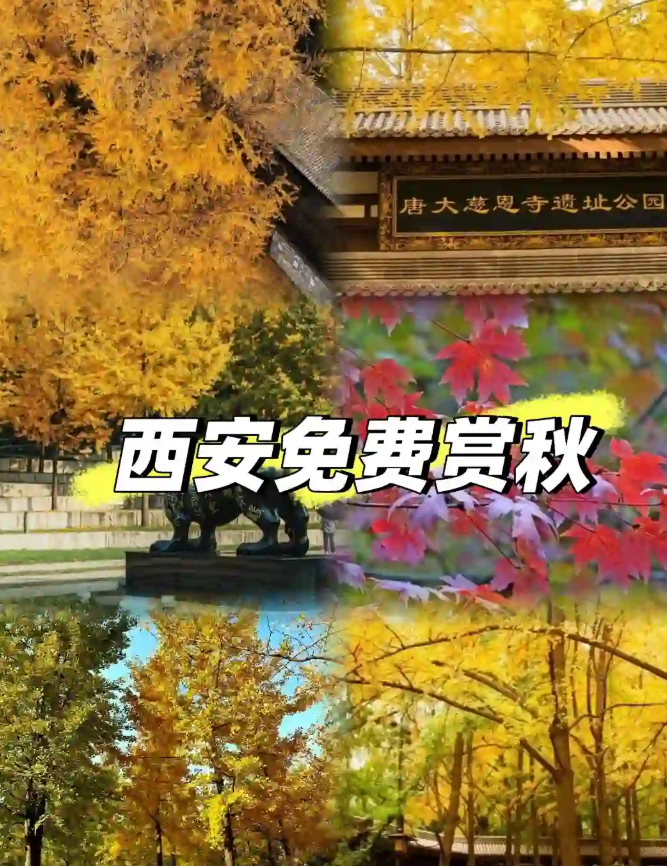 西安秋天│免费赏秋好去处