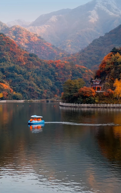 西安赏秋攻略 | 翠华山重阳节免票活动
