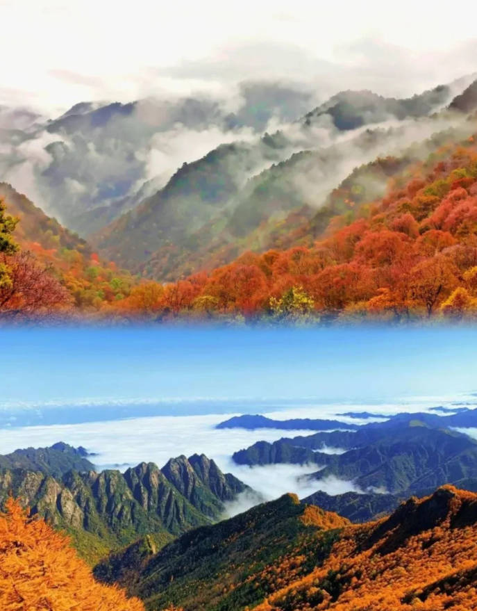 太白山森林公园 | 爬山赏秋攻略