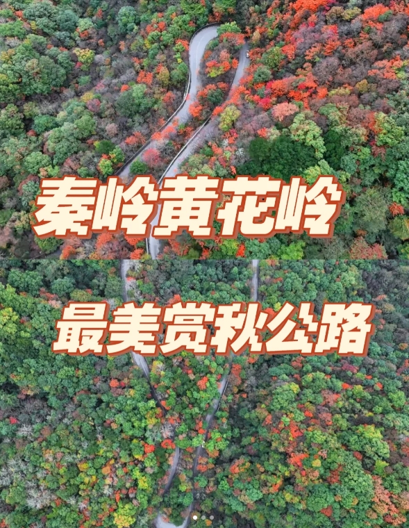 周末踏上自驾之旅， 前往秦岭的 S102 黄花岭，去领略那最斑斓的深山秋色~
