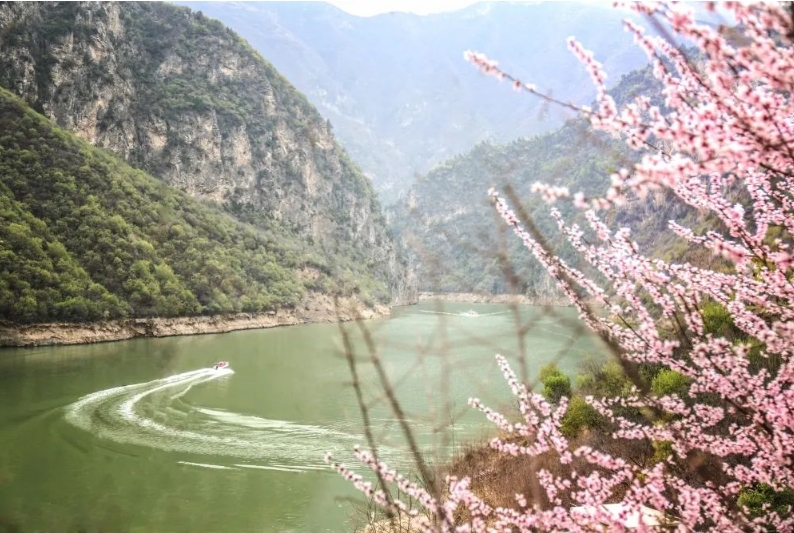 3月15日—3月30日郑国渠山野桃花节~穿汉服免门票