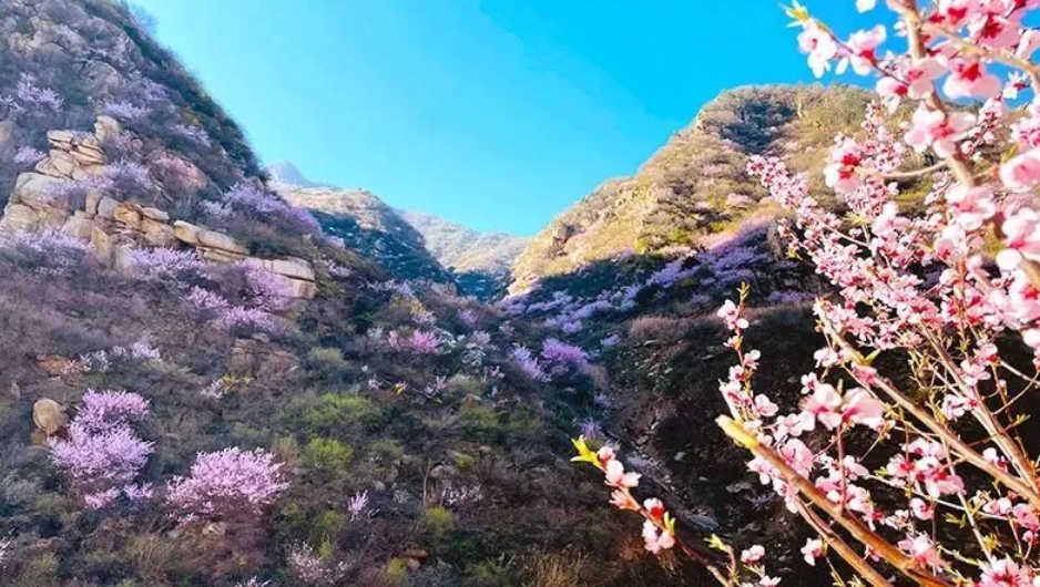 蓝田自驾游推荐路线~免费景点+治愈花海~