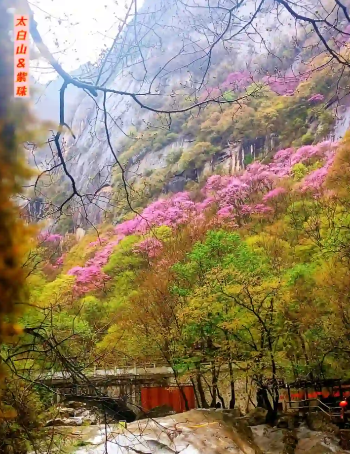 西安周边游│太白山一日游爬山攻略