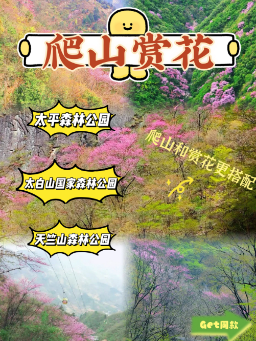 爬山推荐│西安周边爬山赏花一日游