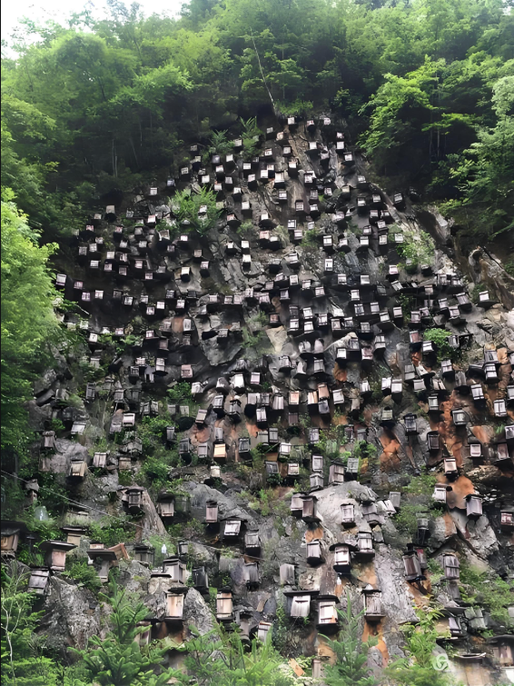 西安出发神农架两日行程安排