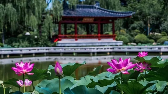 华清宫背《长恨歌》免票~端午节福利~