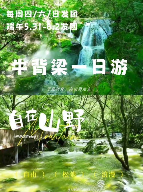 端午出游~20℃的牛背梁直通车一日游