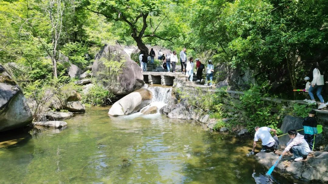 避暑伏牛山-龙潭沟瀑布群+二龙山风景区2日游
