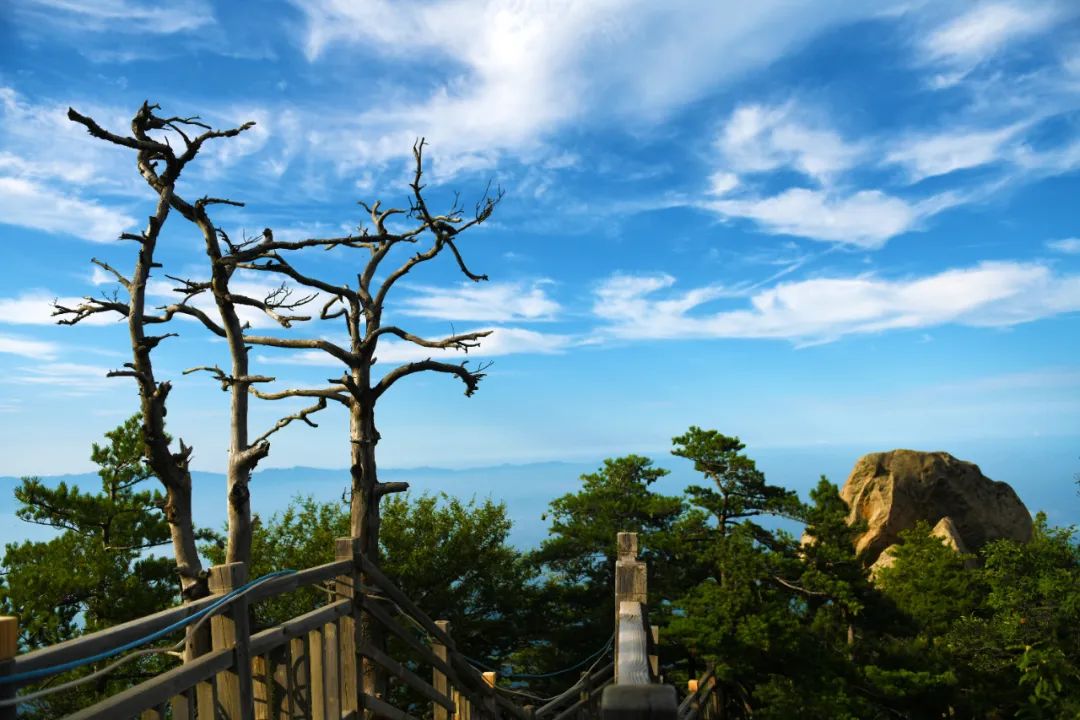中原之颠·灵宝汉山避暑1日游