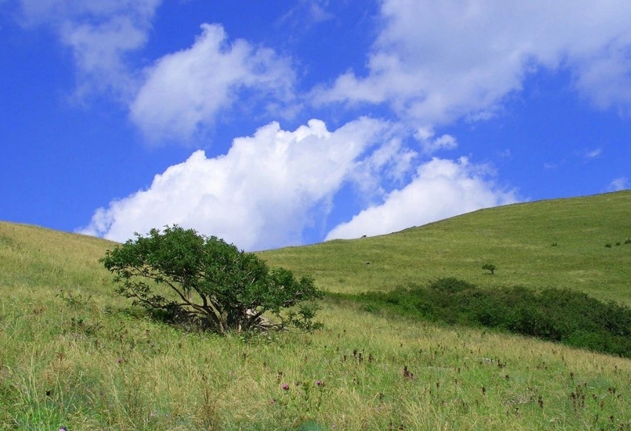终南山秦楚古道